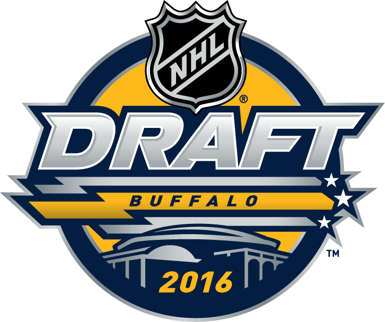 NHL Draft 2016 Primary Logo DIY iron on transfer (heat transfer) NHL Draft 2016 Primary Logo DIY iron on transfer (heat transfer)
